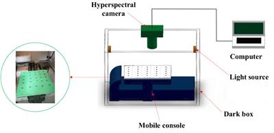 Integrating spectral and image information for prediction of cottonseed vitality